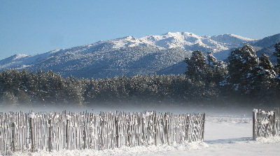 scene d'hiver